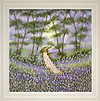Woodland Pathway (Framed)