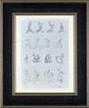Marine (Framed)