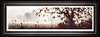 The Thinking Man (Framed)