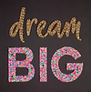 Dream Big