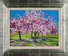 Cherry Trees in Blossom