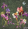 The Emperors Flowers