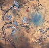 Nuthatch Mayhem