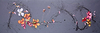 Flower dance