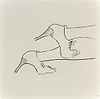Plate 4 from Metamorfosis