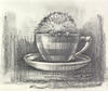 Tea Time (Sketch)