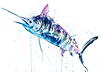 Marlin