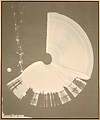 Large Brushstroke Cream II