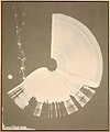 Large Brushstroke Cream II