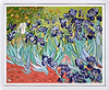Irises - Van Gogh