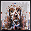 Spaniel Love V