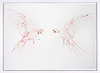 Flight Study III