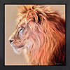 Bush King