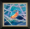 Resting Kingfisher