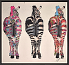 Zebra Crossing