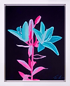 Inverted Lily