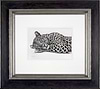 Lazing Leopard