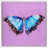 Morpho Butterfly
