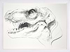T Rex IX