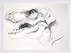 T Rex IX