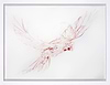 Flight Study II