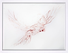 Flight Study II
