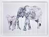 Elephant And Calf