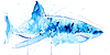 Great White IV