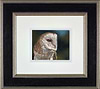 Twilight II (Framed)