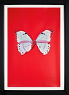 Untiled (Red Butterfly), 2005 (Framed)