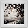 Dawn Journey (Framed)