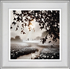 Dawn Journey (Framed)