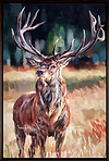 Majestic Stag (Framed)