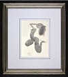 Stretch and Pose (Framed)
