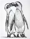 Penguins Playing