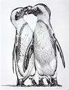 Penguins Playing
