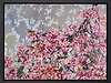 Floral Beauty (Framed)