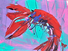 Red Lobster IV