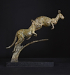 Kangaroo Double -2015