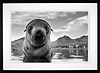 From The Brink (Framed)