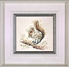 Grey Squirrel with Nut (Framed)