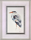 Statuesque Grey Heron (Framed)