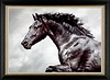 The Conqueror (Framed)