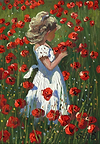 Poppyfield Heaven