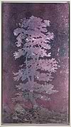 Tall Pink Tree