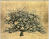 A Tree In Bloom V (Framed)