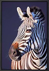 Royal Blue (Framed)