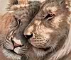 Looking After Each Other