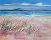 Grasses at Luskentyre, Harris