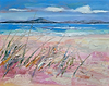 Grasses at Luskentyre, Harris